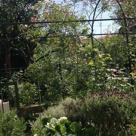 Appartamento Casa Righetti *